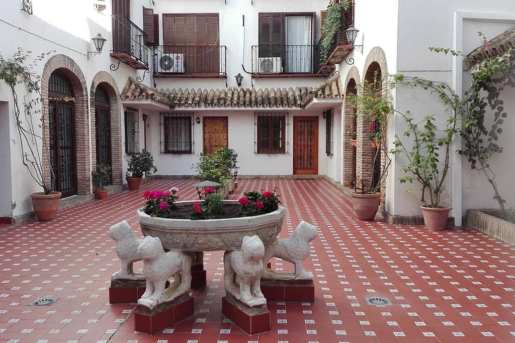 Apartamento 1 Minute From Cathedral. Feel The Heart Of Sevilla