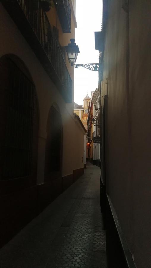 Flamenco Seville