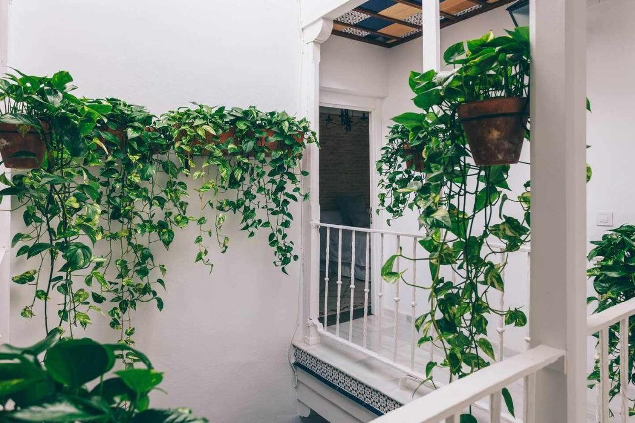 Homestay Alcazar De Maria *