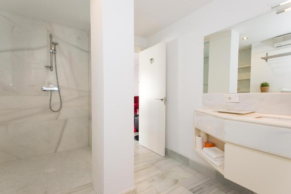Apartamento áticos Magdalena *