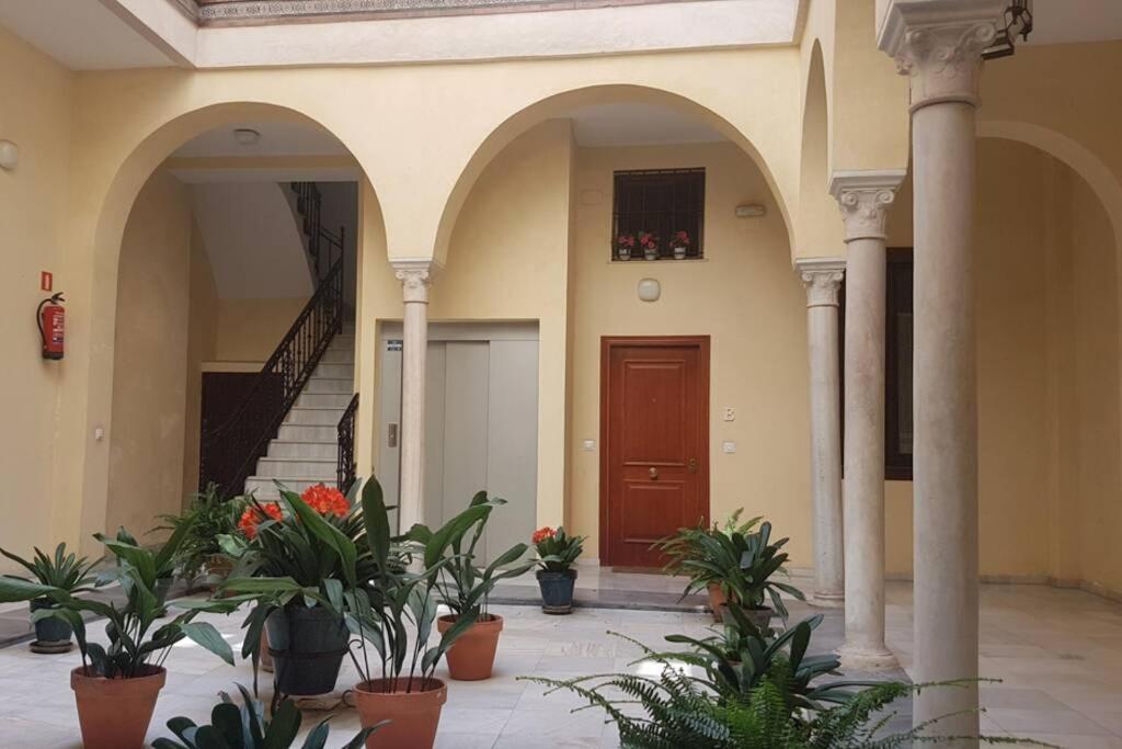 Apartment Loft Nuevo Y Con Encanto A Tres Mnt Catedral Aa Wifi Seville