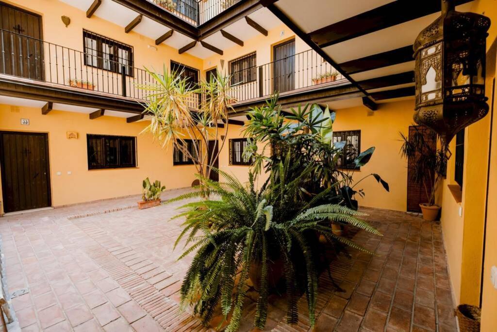 Corral Del Horno Oasis By Valcambre Seville