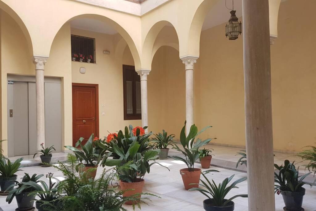 Apartment Loft Nuevo Y Con Encanto A Tres Mnt Catedral Aa Wifi Seville