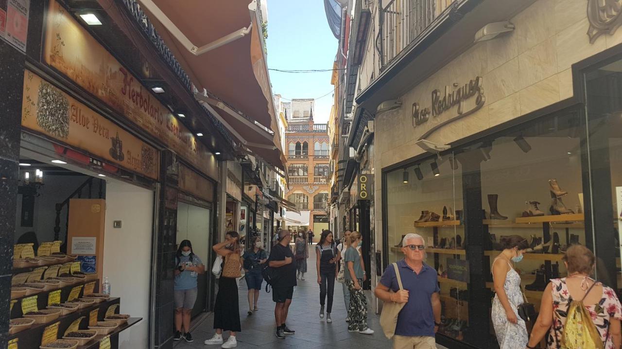 Apartment Loft Nuevo Y Con Encanto A Tres Mnt Catedral Aa Wifi Seville