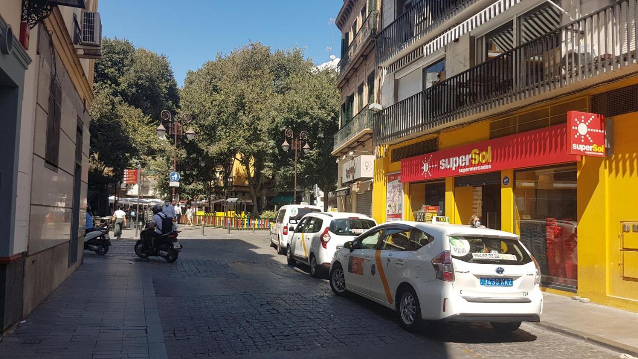 Loft Nuevo Y Con Encanto A Tres Mnt Catedral Aa Wifi Apartment