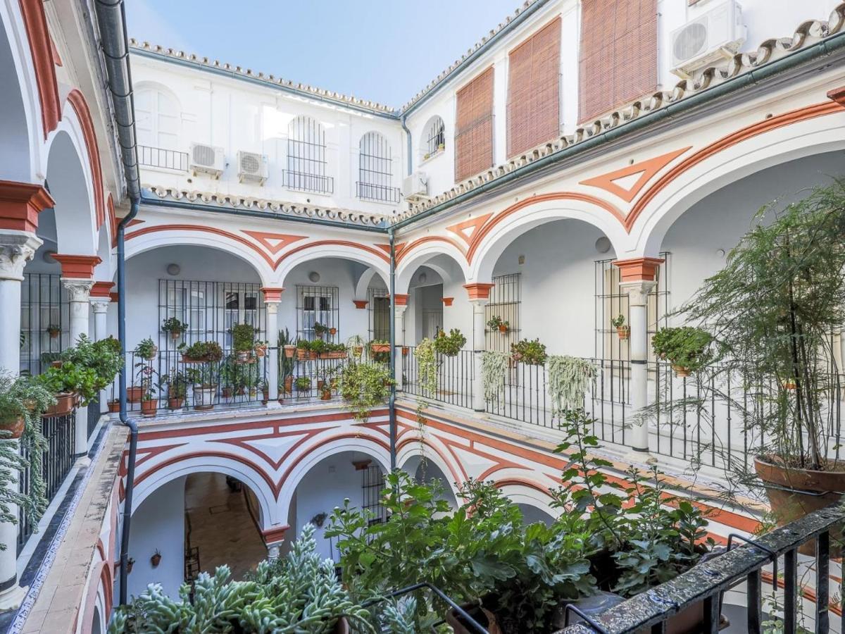 San Isidoro 12 Nuevo * Seville