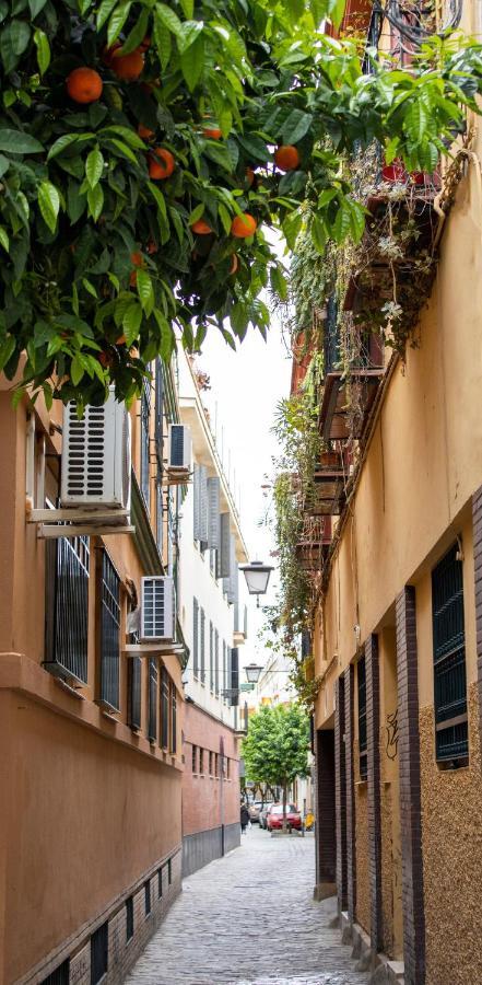 Apartamento Macasta centro Sevilla