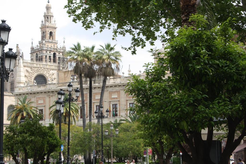 Avenida