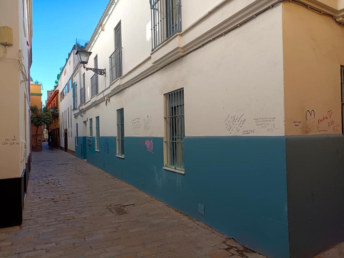 Macasta centro Sevilla