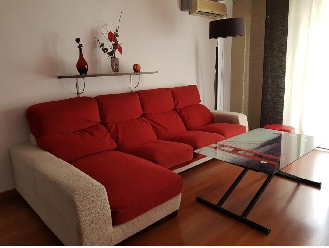 Pura Vida En Apartment *