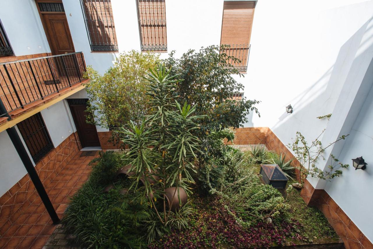 Requena Apartamento *