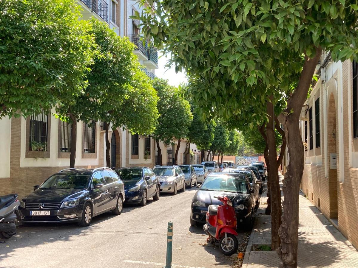 Acogedor En Semisótano Con Patio Y Cerca De La Plaza De España