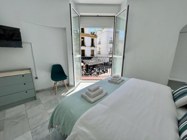 Ad1b Arenal 3br Apartment, 250 Mtrs From Cathedral Apartment Seville