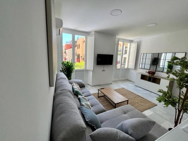 Ad1b Arenal 3br Apartment, 250 Mtrs From Cathedral Apartment Seville