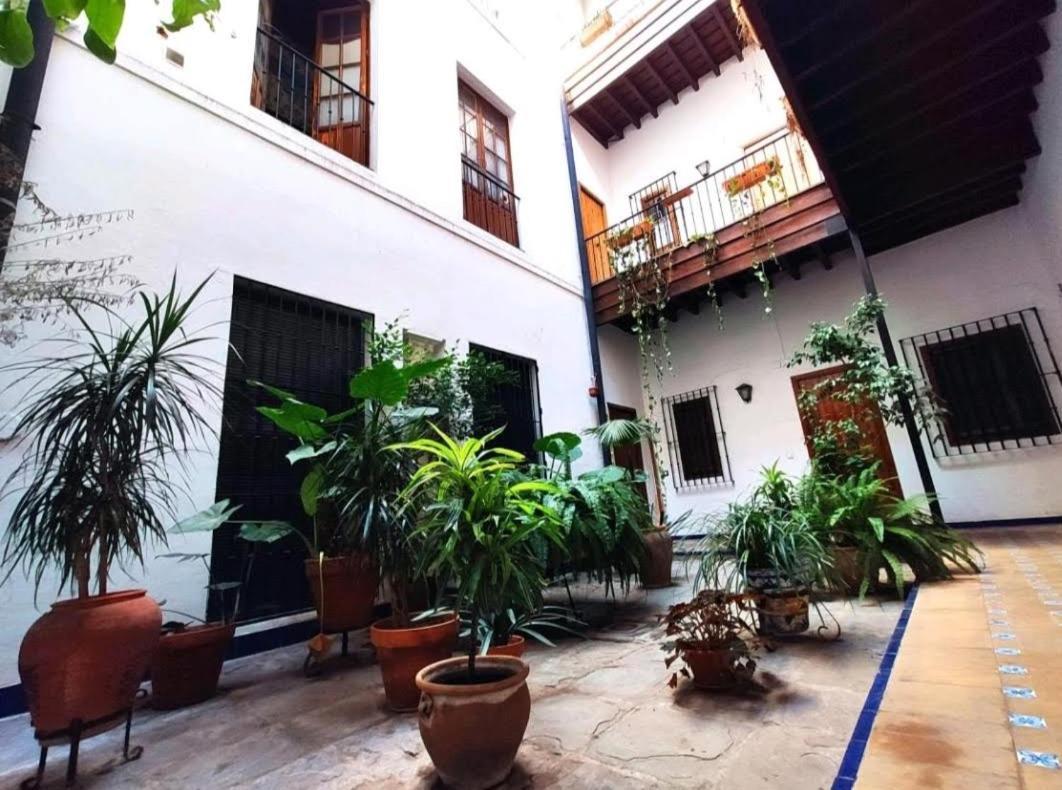Apartment Coco Urban