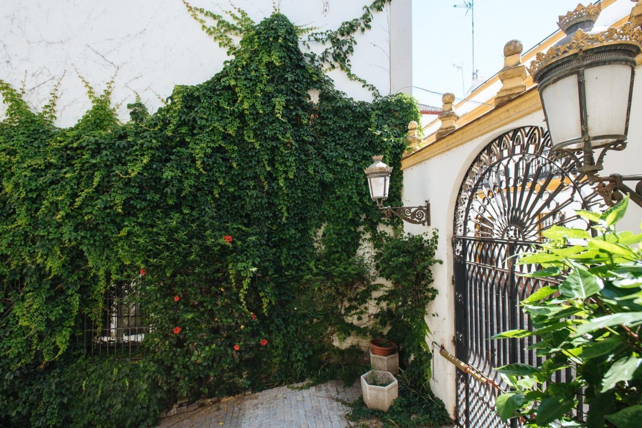 Apartment Vidrio *