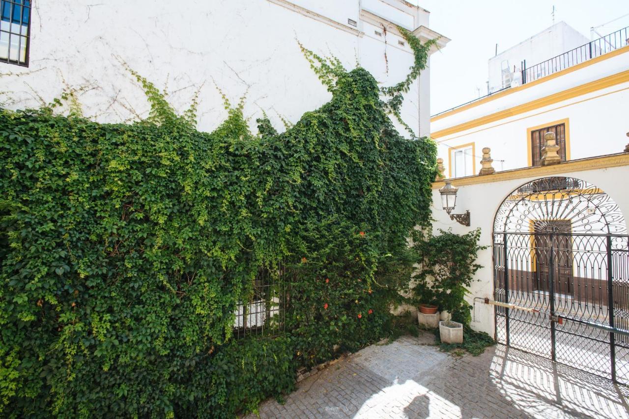 Apartment Vidrio *