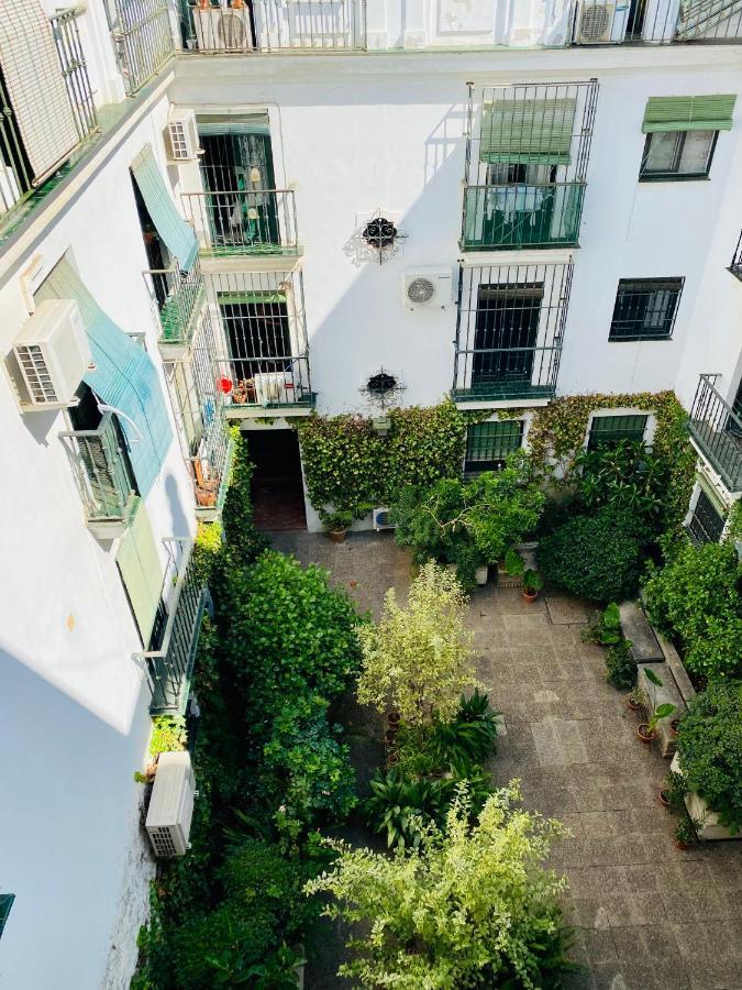 Magic Point Apartment