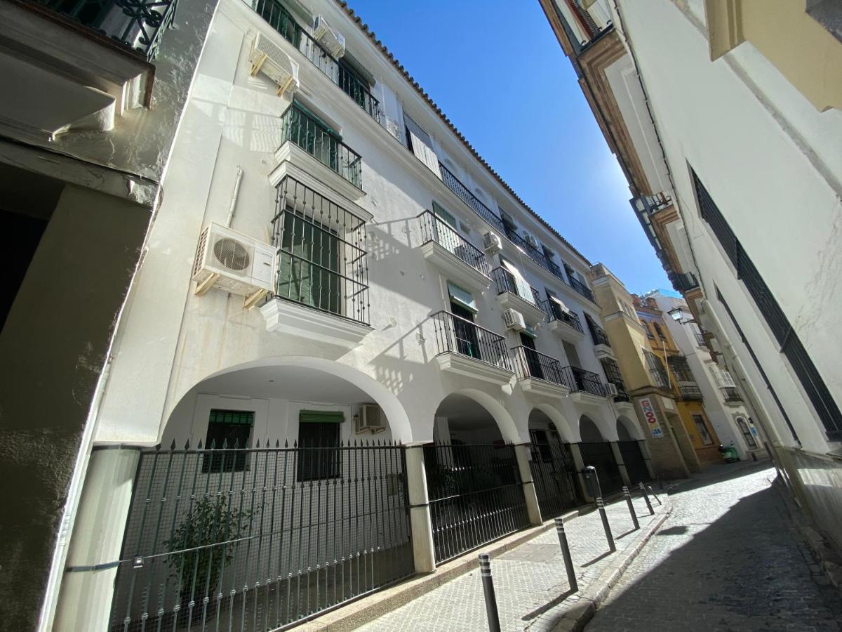 Magic Point * Seville