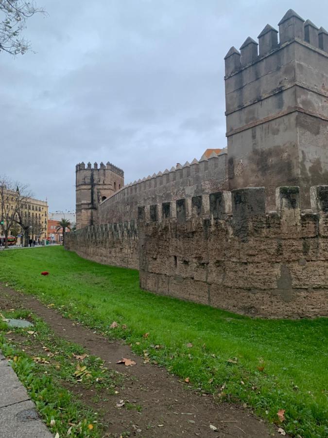Apartment Piso Muralla Macarena
