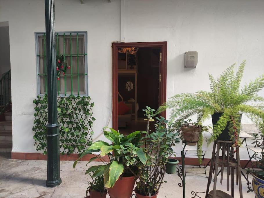 Apartamento Arte De La Seda Ii *
