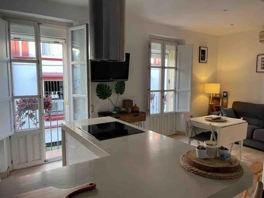 180 Casa Rodrigo De Triana Apartment