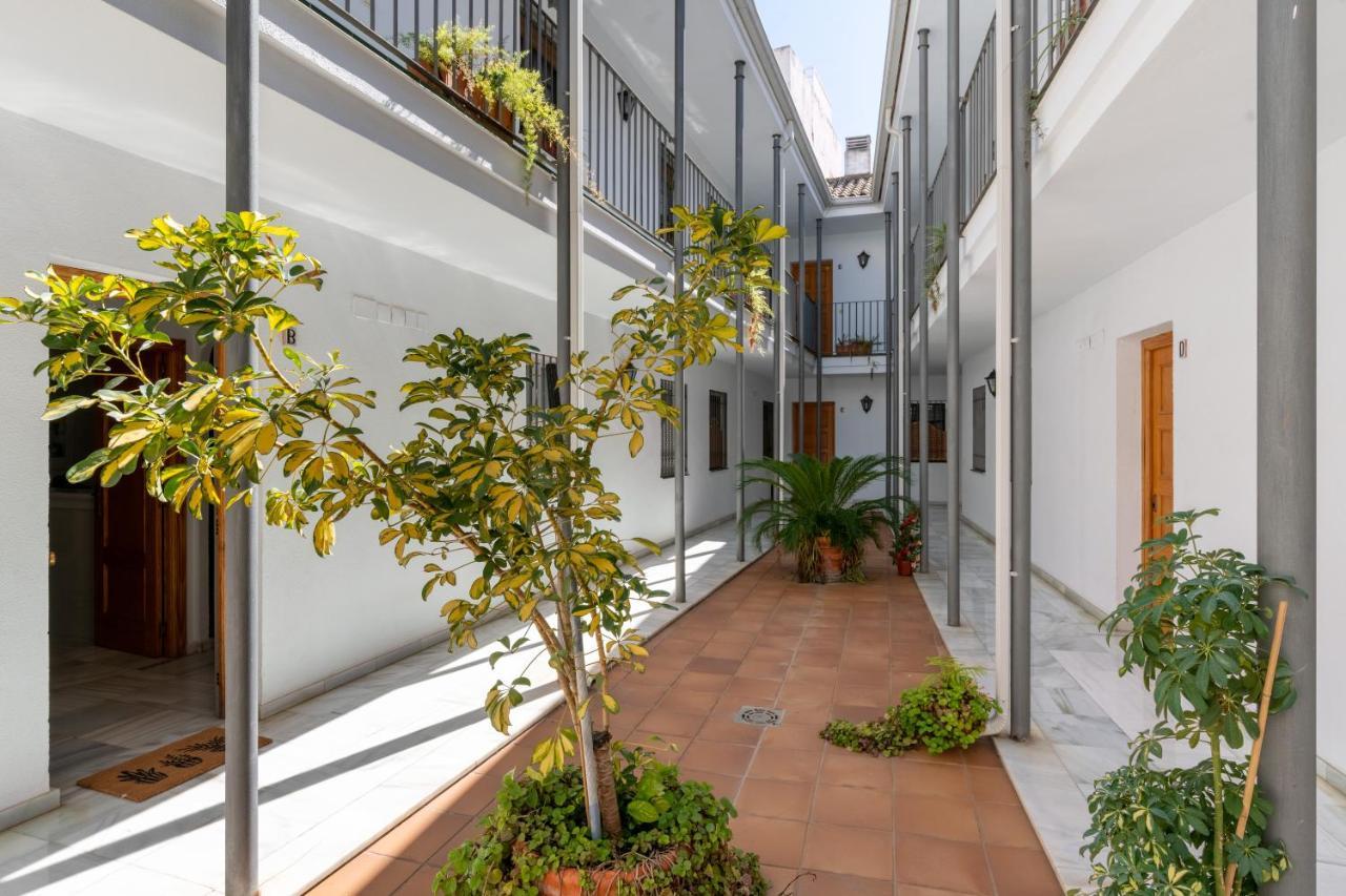 Con Garaje, Centro De Apartment
