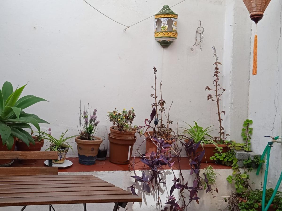 Apartment Selva La Bella. En El Corazon De Triana Seville