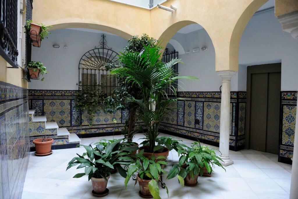 Museo De Bellas Artes Apartment Seville