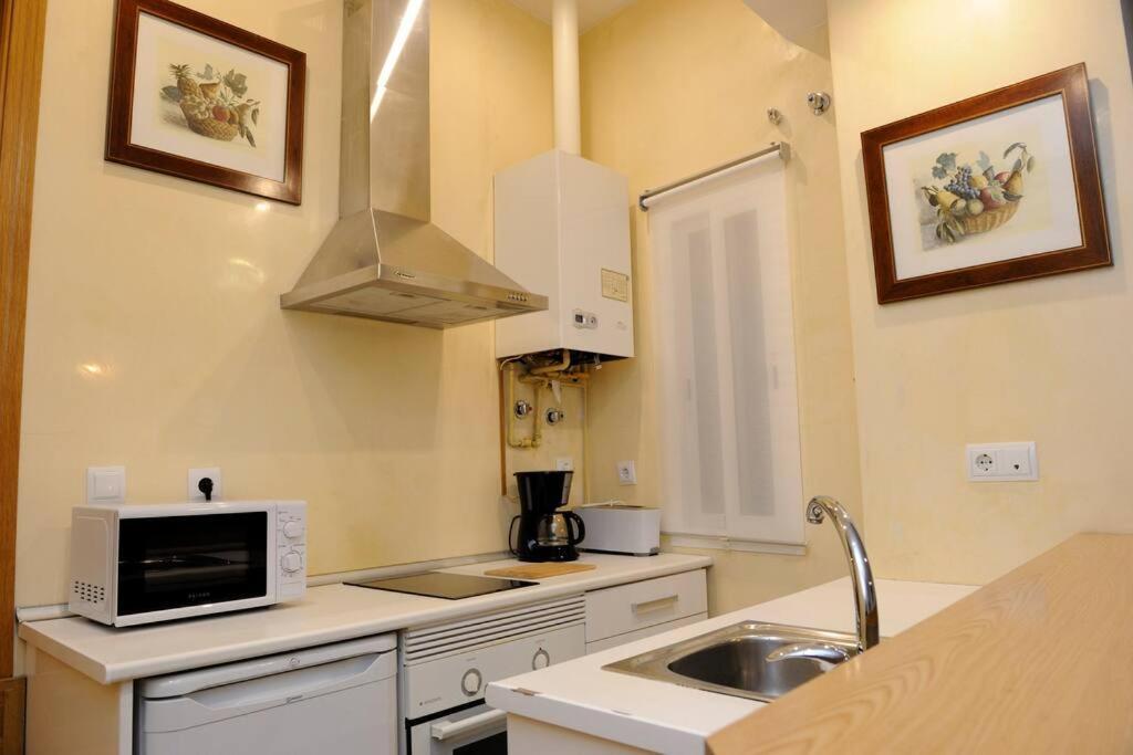 Museo De Bellas Artes Apartment *