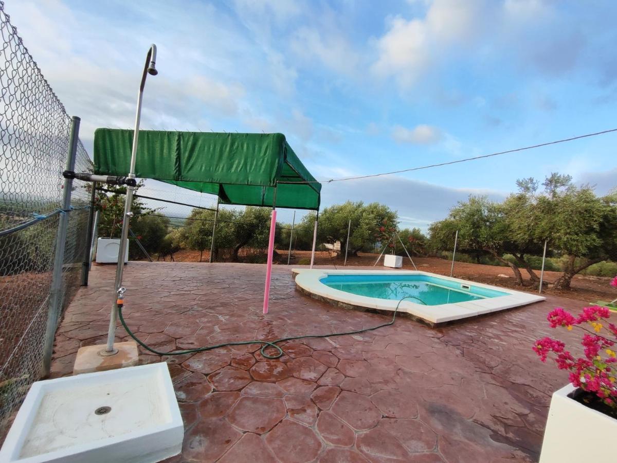 Mesa Del Lobo Cabrahigo * Seville