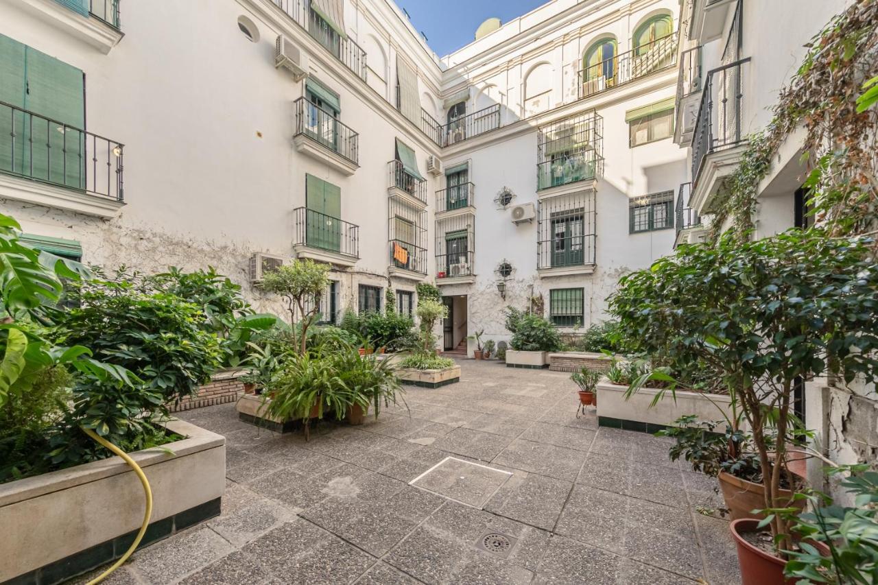 Sevillahome San Roque - Plaza Del Museo Seville
