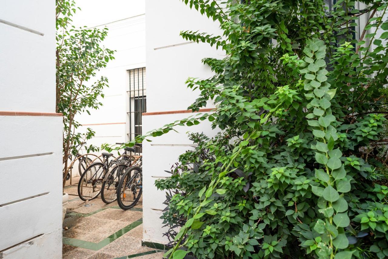 Alohamundi Aire Seville
