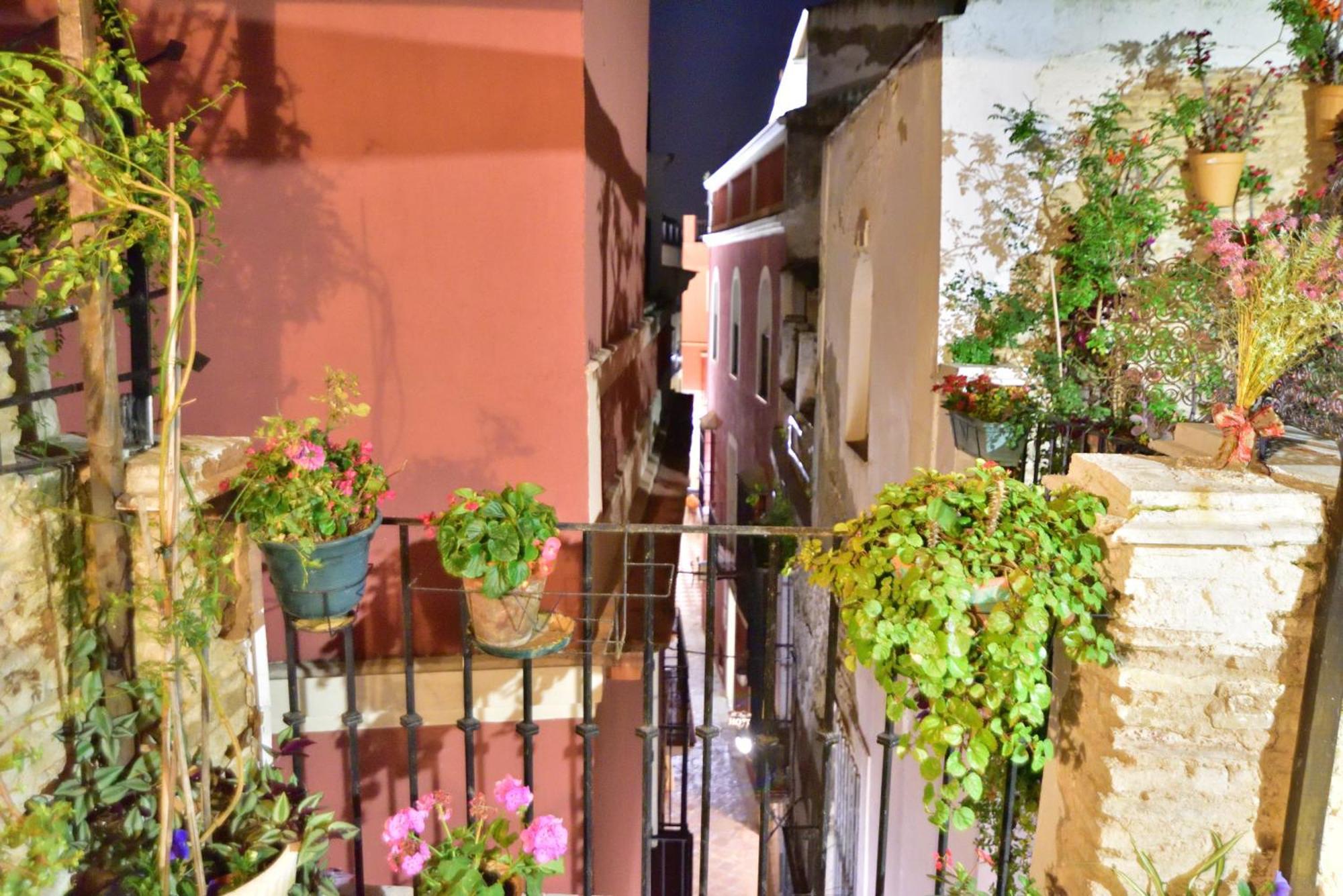 Casa Tenorio Barrio De Santa Cruz * Seville