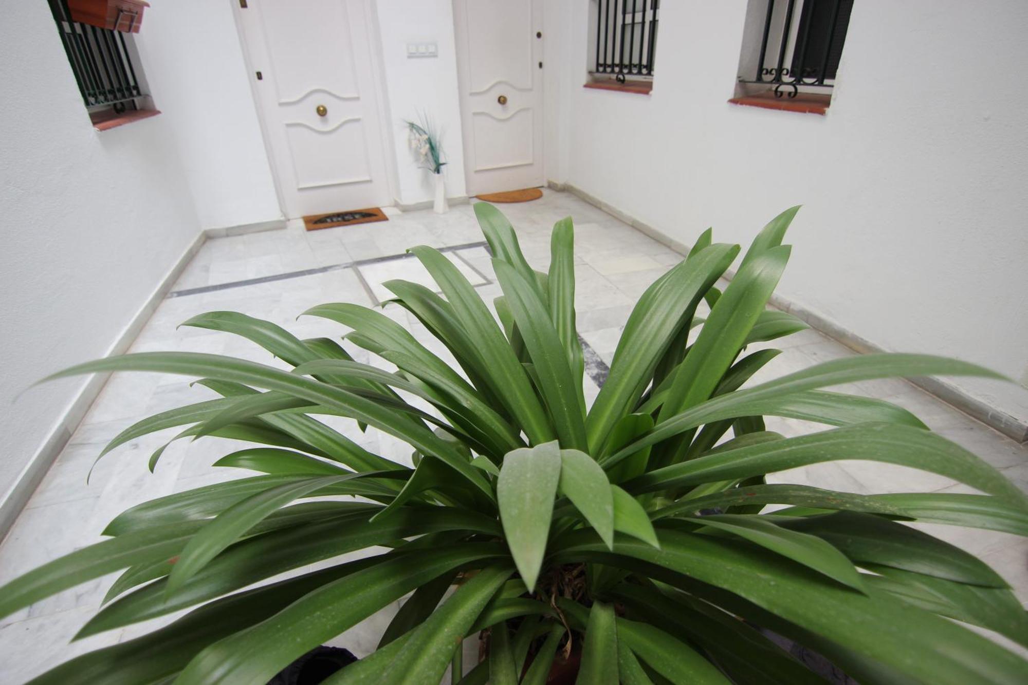 Corazon De Triana Apartment *