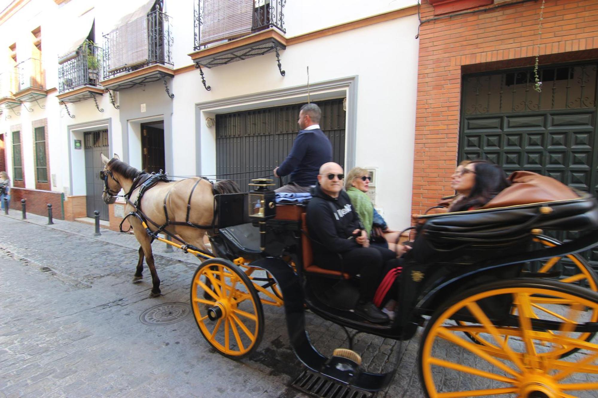 Apartment Corazon De Triana *