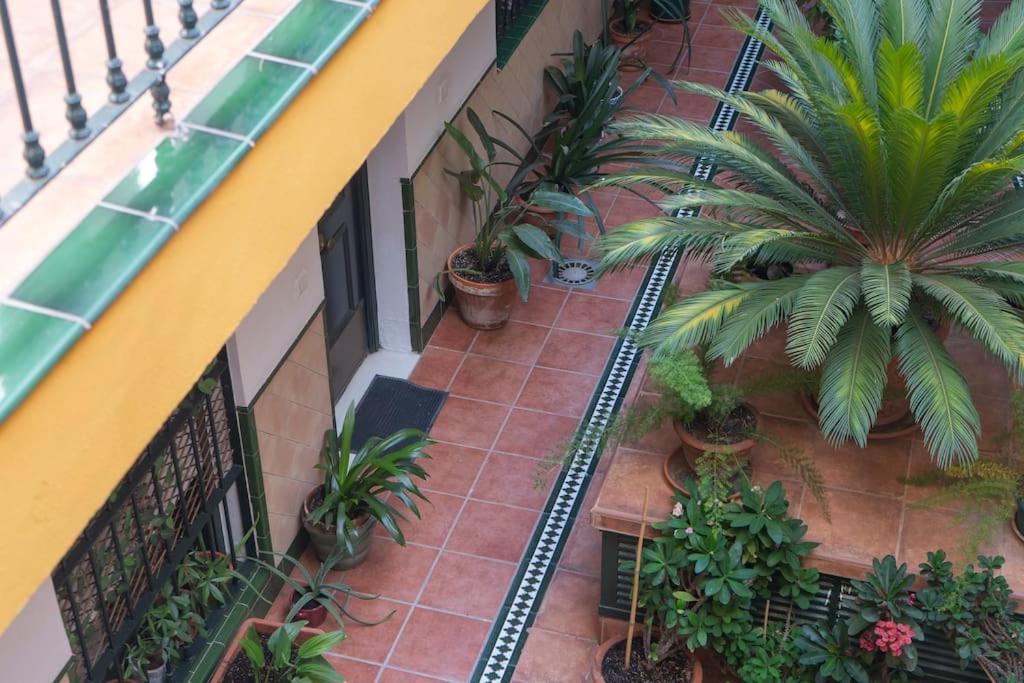 Junto A Setas De Apartment *