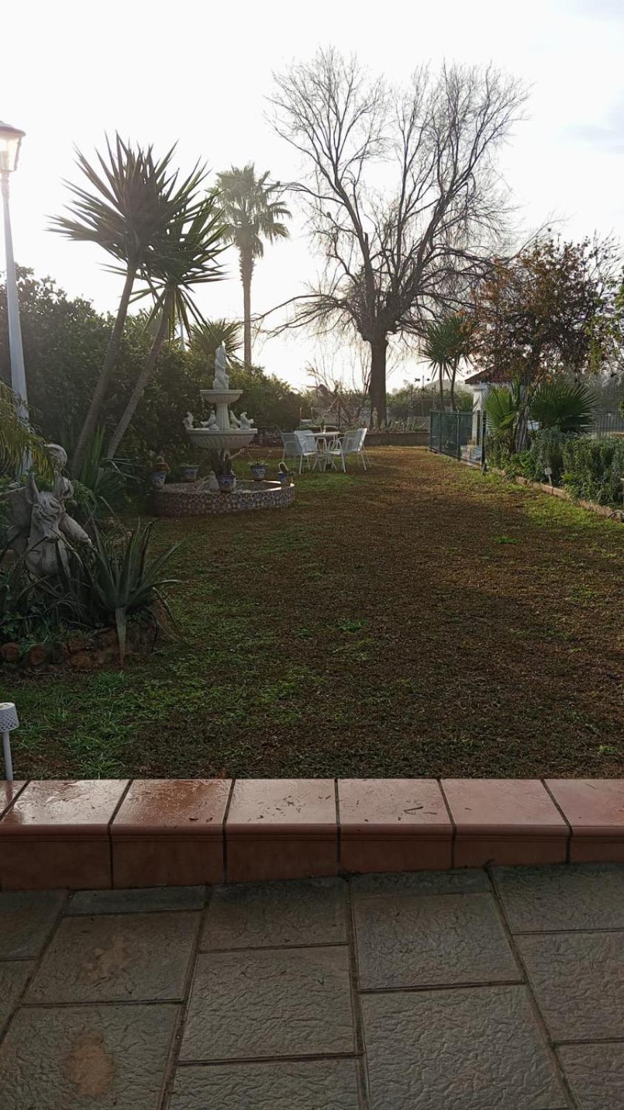 Villa Naranjo Sevilla