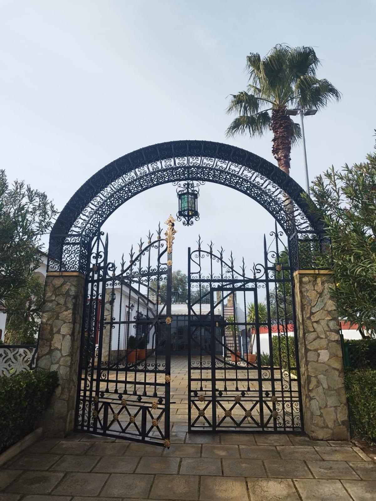 Naranjo Villa Sevilla