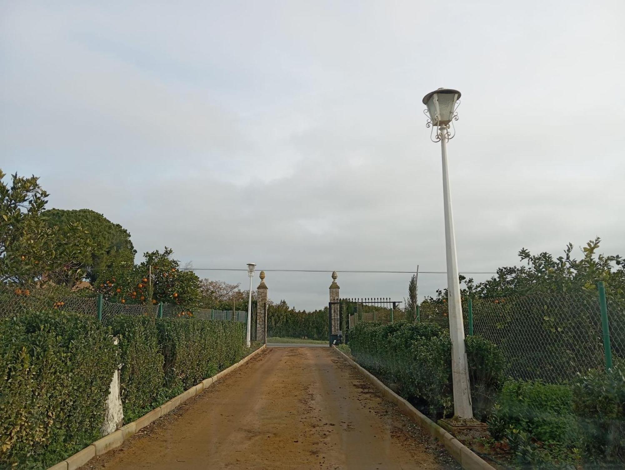 Villa Naranjo Sevilla