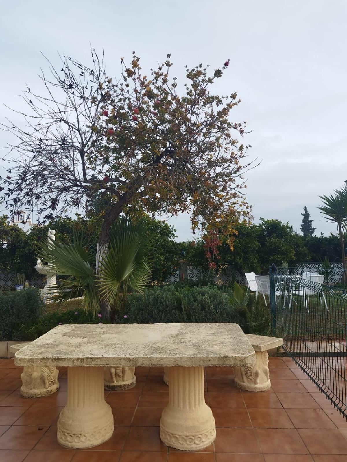 Villa Naranjo *