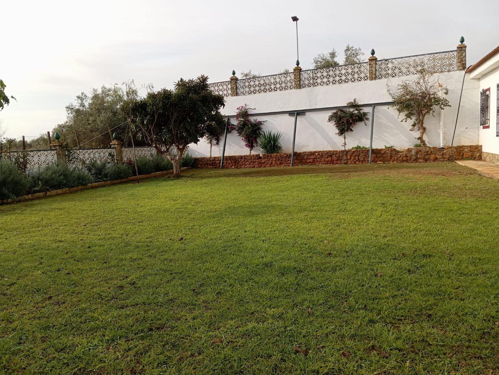 Naranjo Villa Sevilla