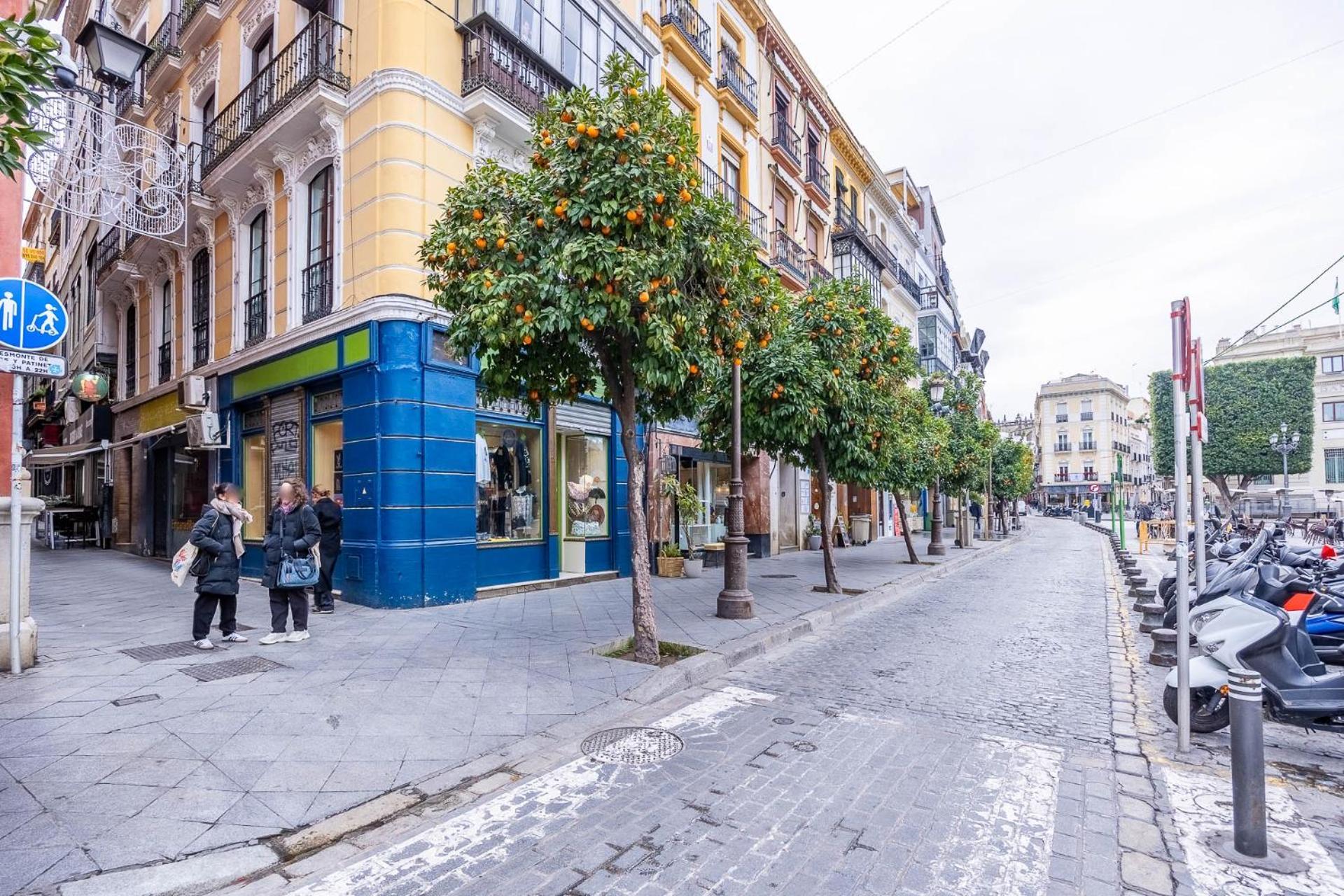 Chicarrero Vacacional Sevilla