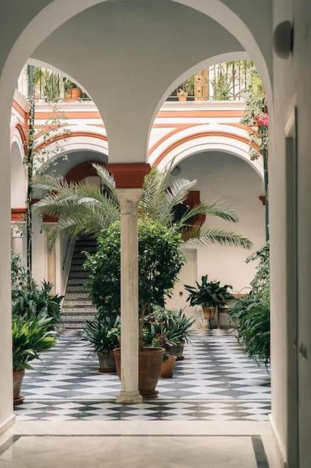Apartamento Esencia De