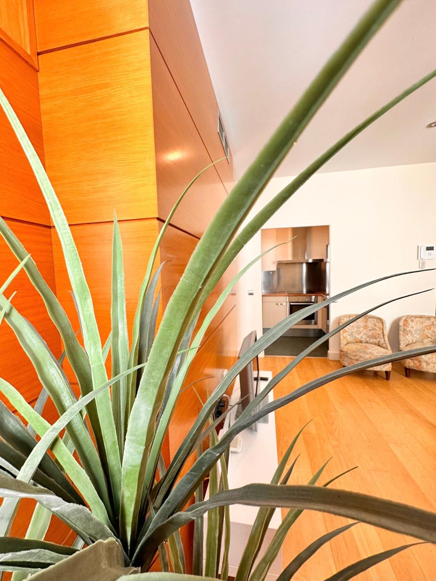 Apartment Penthouse Near Cathedral Private Rooftop Private Parking *