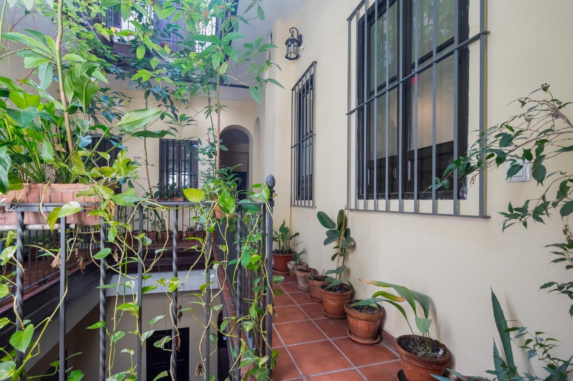 Apartment Plaza San Marcos *