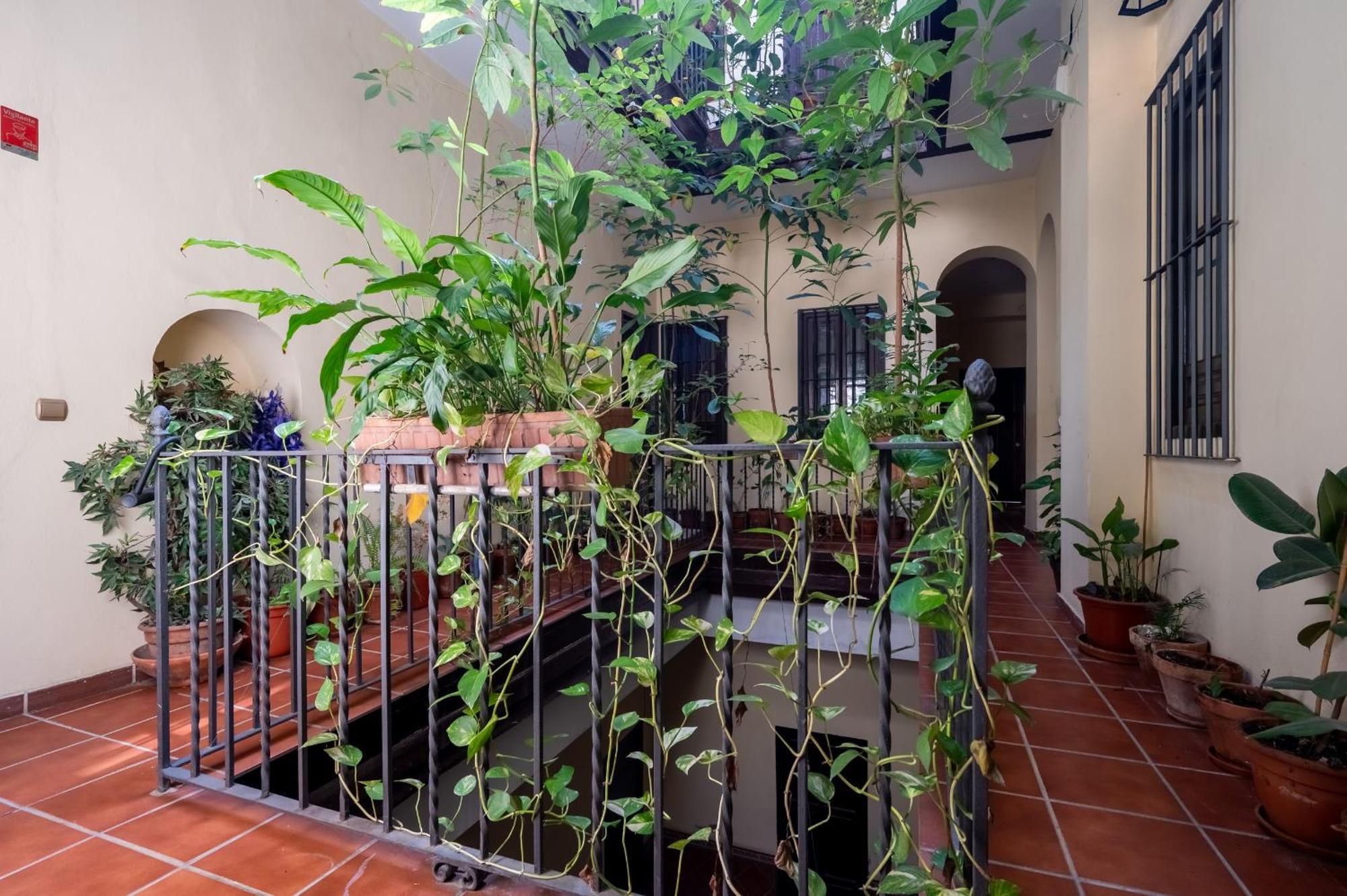 Plaza San Marcos Apartment