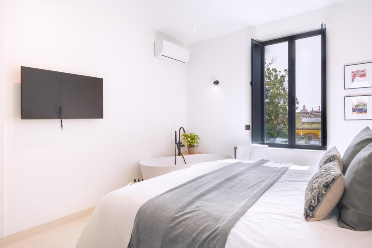 Luxurious Duplex 1bd 1bth Over Casa Pilatos Apartment