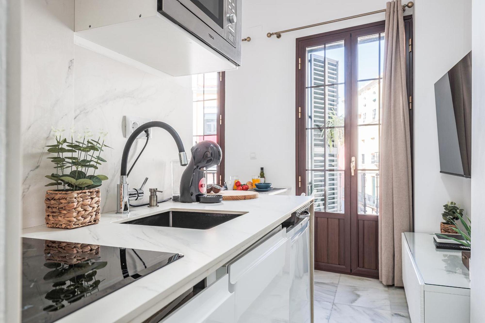 Bonito Duplex Con Terraza Calle Feria Apartment *