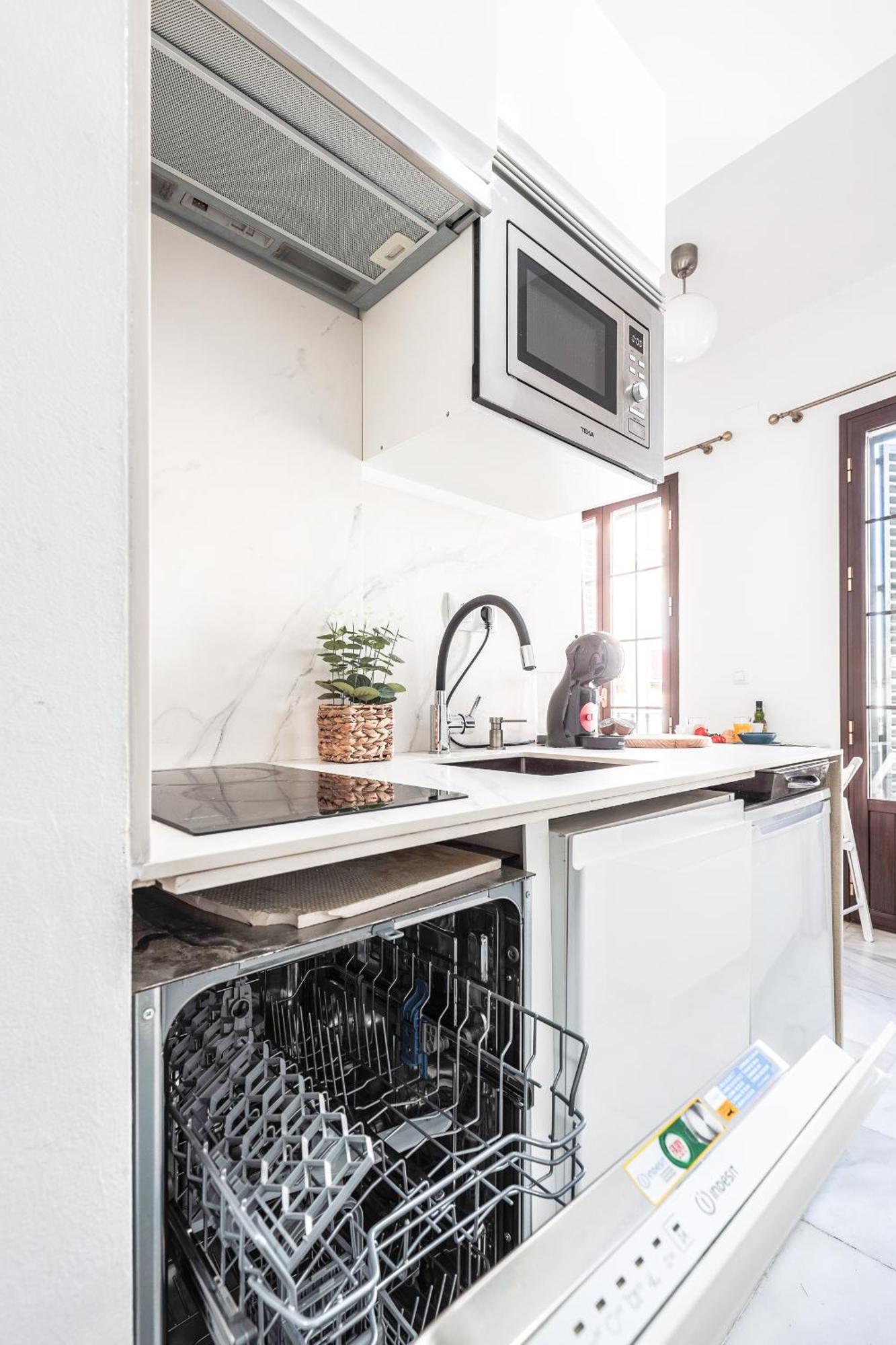 Bonito Duplex Con Terraza Calle Feria Apartment *